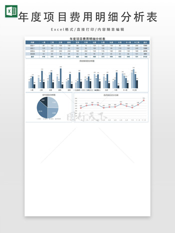 年度項目費用明細分析表