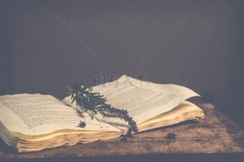 柔和光線下一本翻開的書里面夾著干花和植物