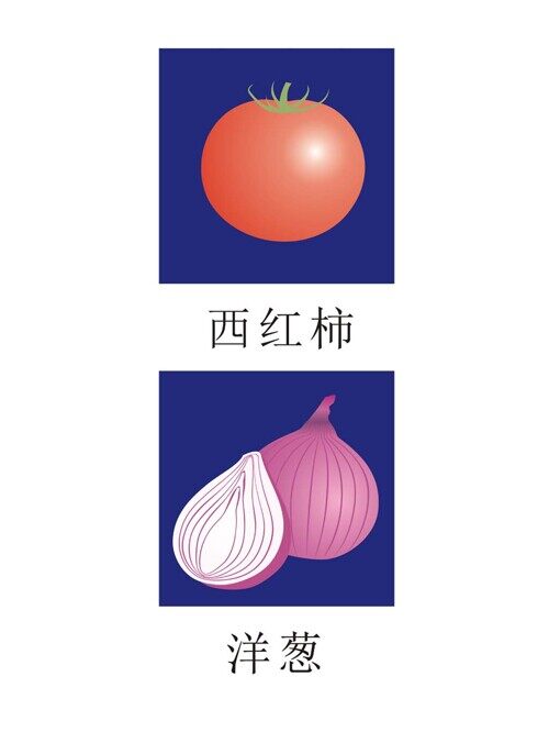 蔬菜矢量图 西红柿/洋葱图 蔬菜食品图标 可变大小