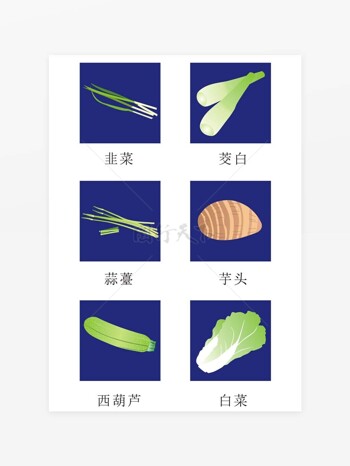 蔬菜矢量图韭菜茭白蒜薹芋头西葫芦白菜
