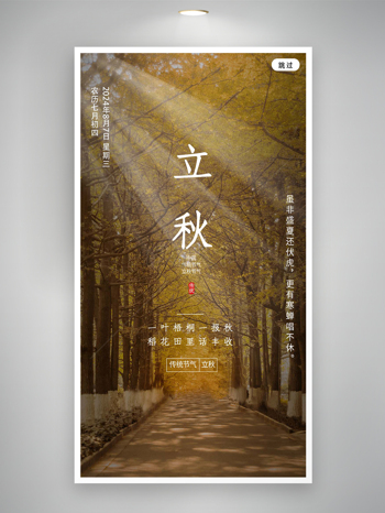 中国传统节气立秋宣传唯美意境海报
