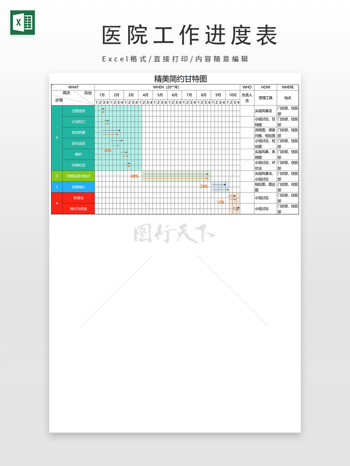 精美简约10个月医院甘特图