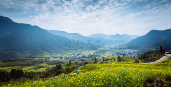 连绵青山下开阔的油菜花田野